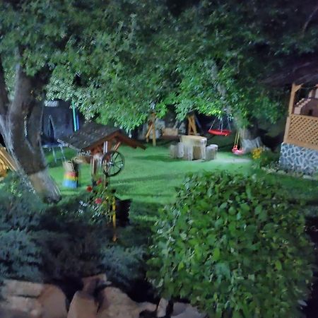 Păltinoasa Casa Dintre Piniヴィラ エクステリア 写真