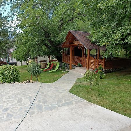 Păltinoasa Casa Dintre Piniヴィラ エクステリア 写真