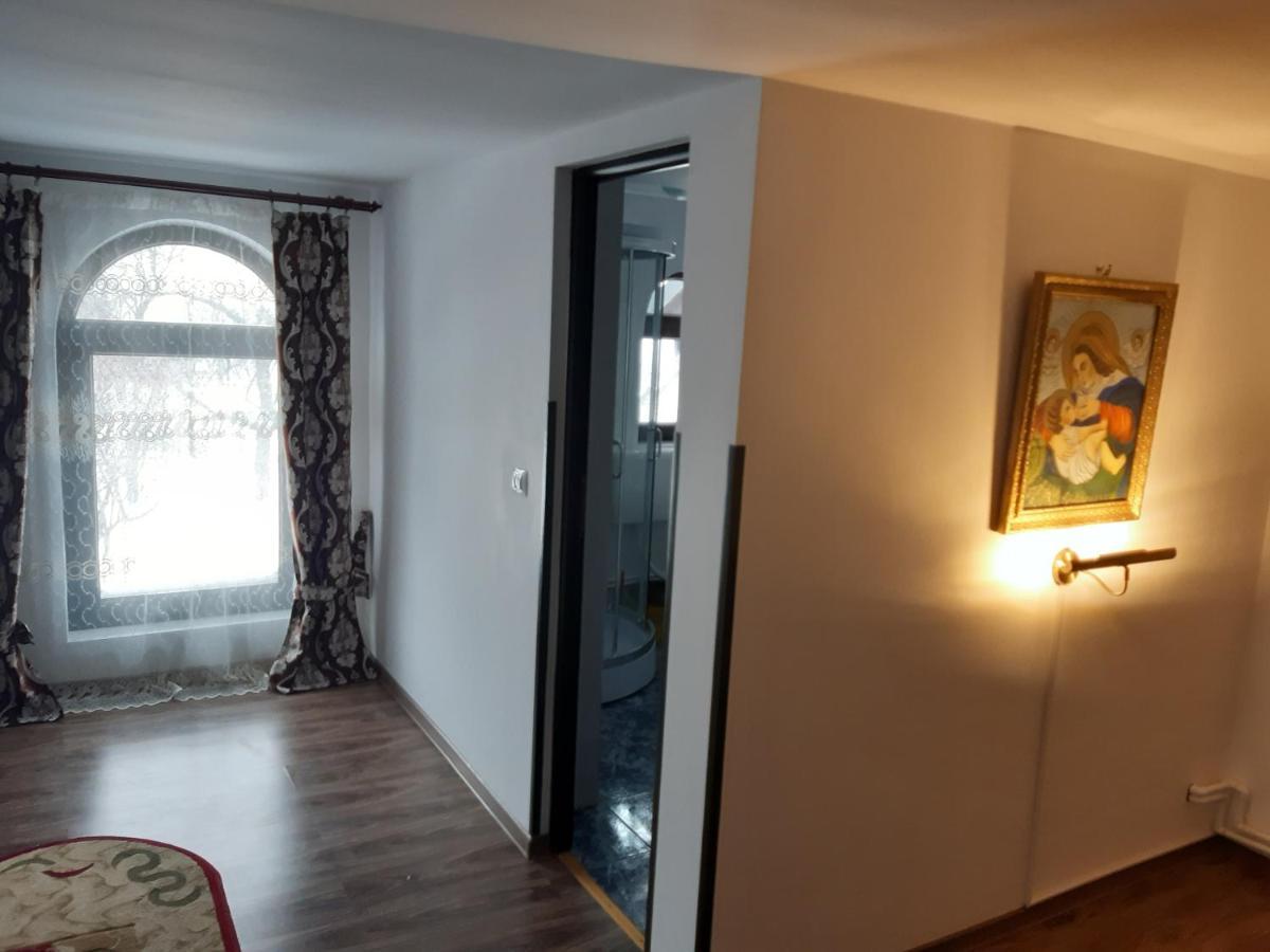 Păltinoasa Casa Dintre Piniヴィラ エクステリア 写真
