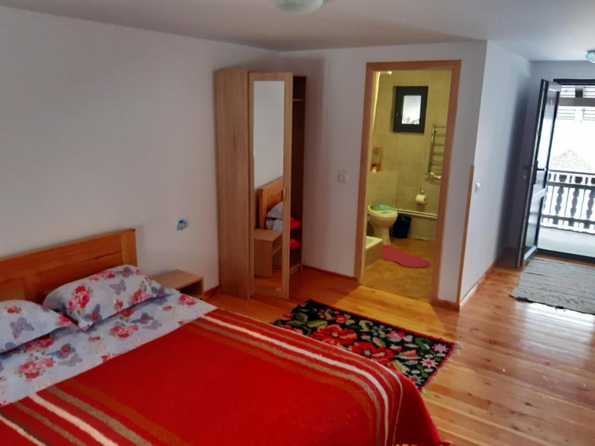 Păltinoasa Casa Dintre Piniヴィラ エクステリア 写真