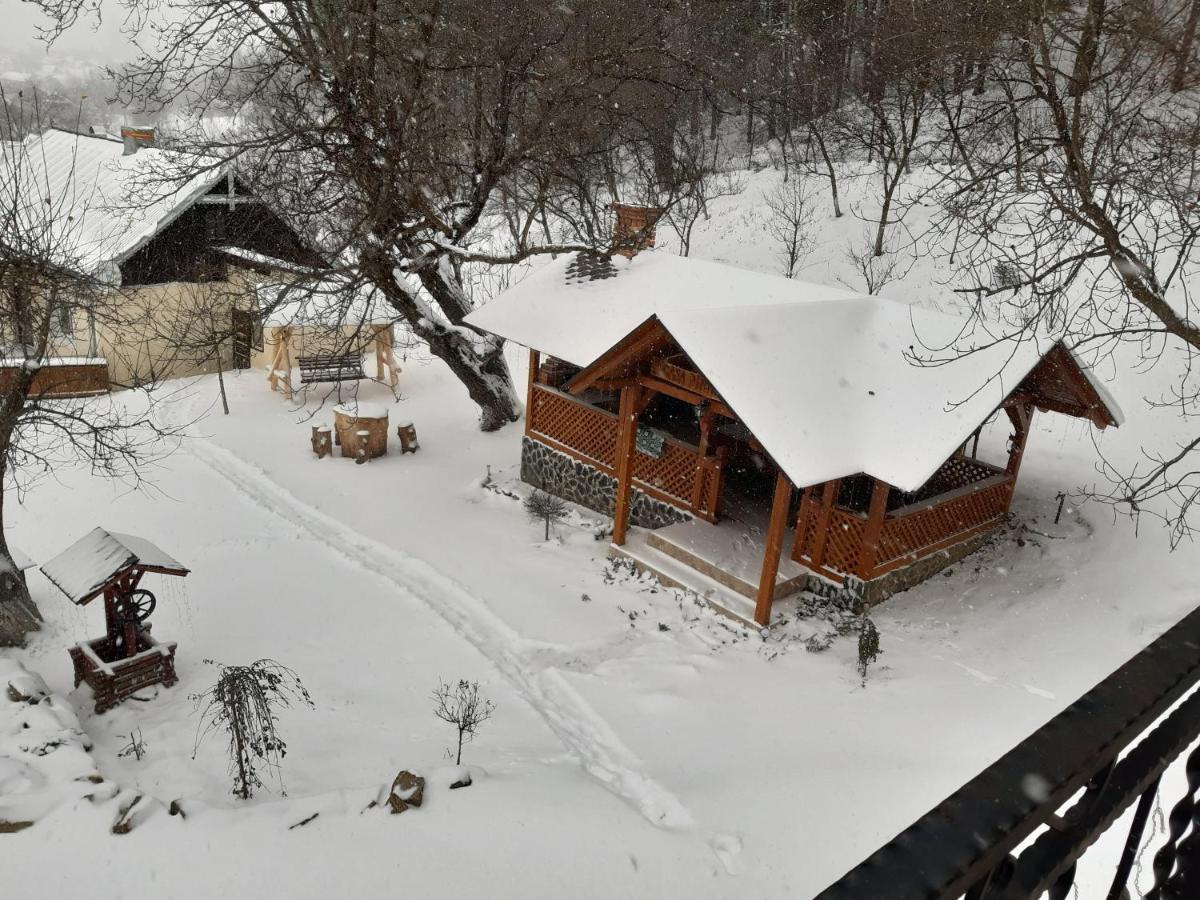 Păltinoasa Casa Dintre Piniヴィラ エクステリア 写真