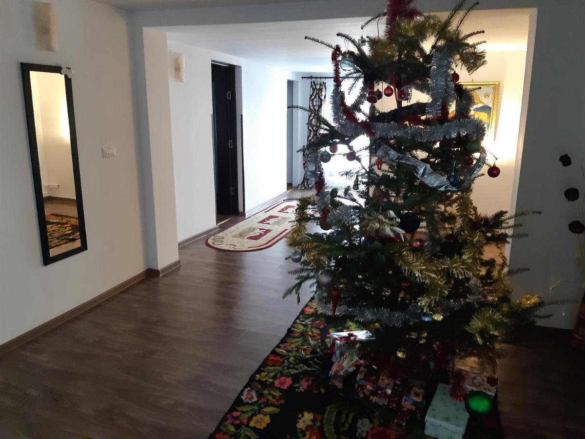 Păltinoasa Casa Dintre Piniヴィラ エクステリア 写真