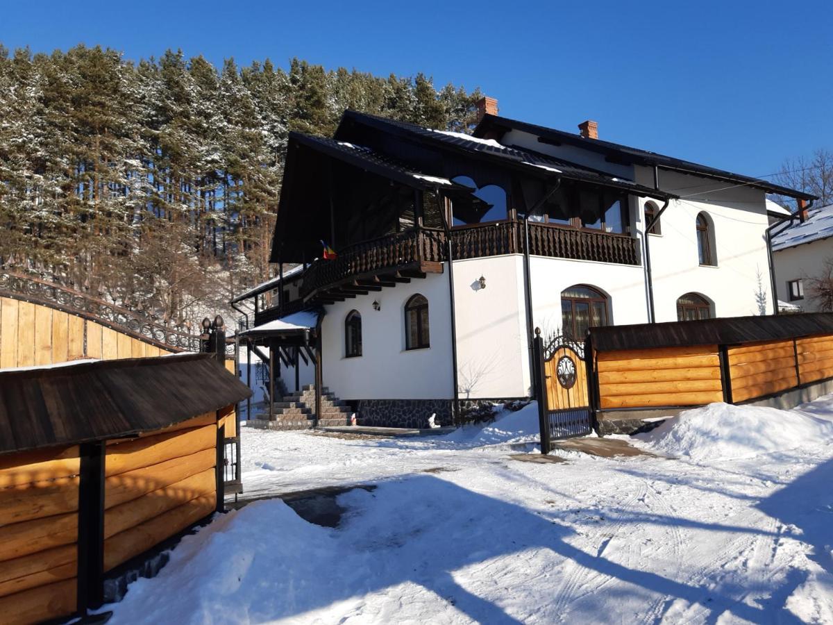 Păltinoasa Casa Dintre Piniヴィラ エクステリア 写真