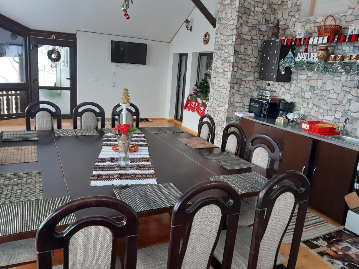 Păltinoasa Casa Dintre Piniヴィラ エクステリア 写真