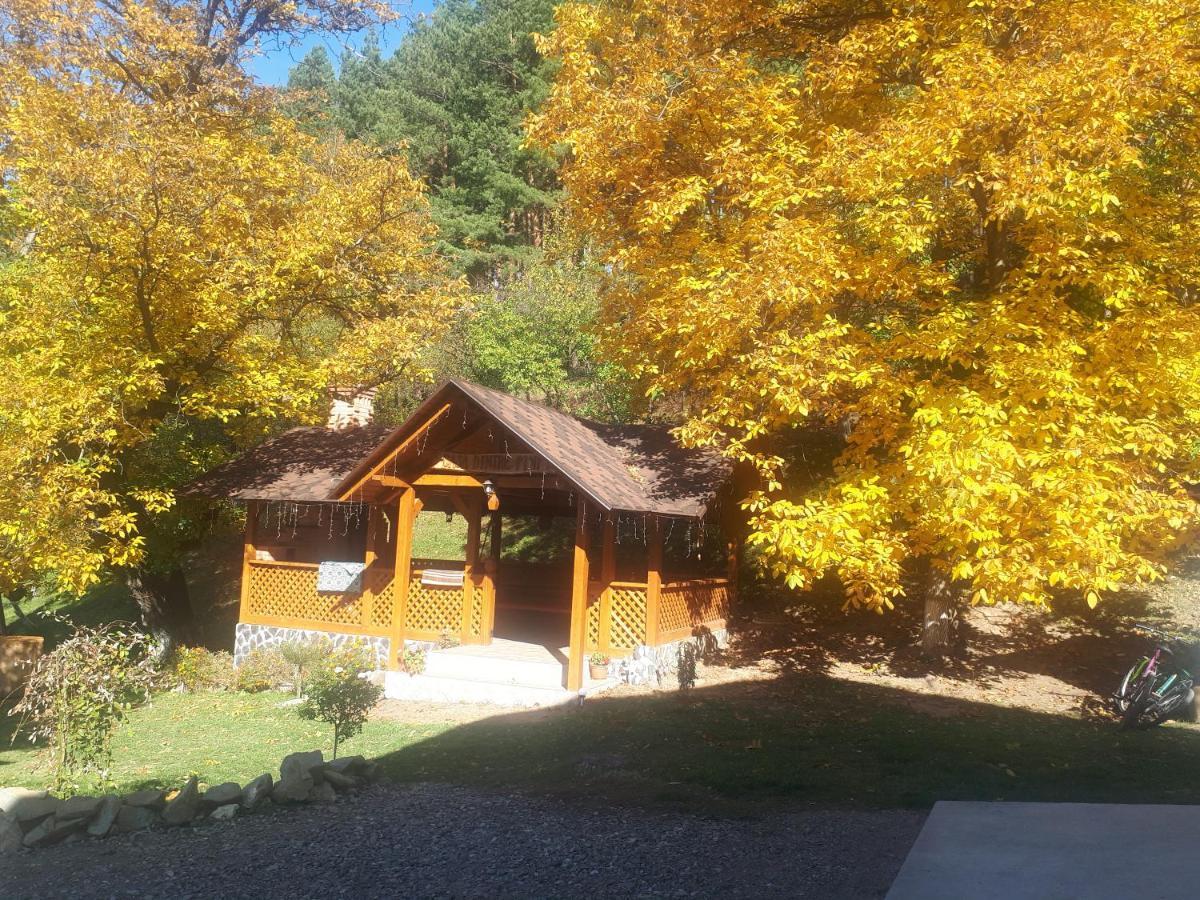 Păltinoasa Casa Dintre Piniヴィラ エクステリア 写真
