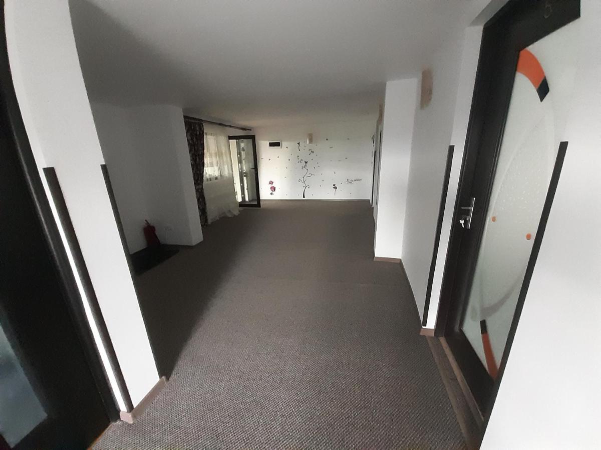 Păltinoasa Casa Dintre Piniヴィラ エクステリア 写真