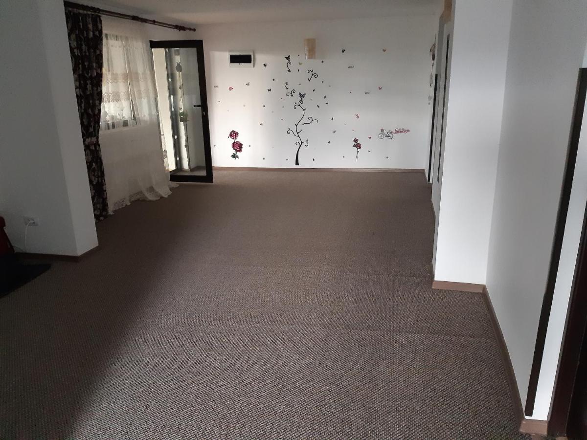 Păltinoasa Casa Dintre Piniヴィラ エクステリア 写真