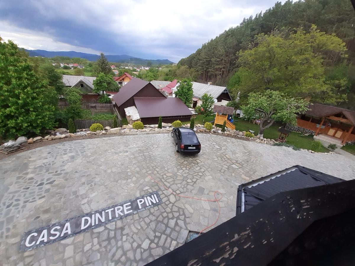 Păltinoasa Casa Dintre Piniヴィラ エクステリア 写真