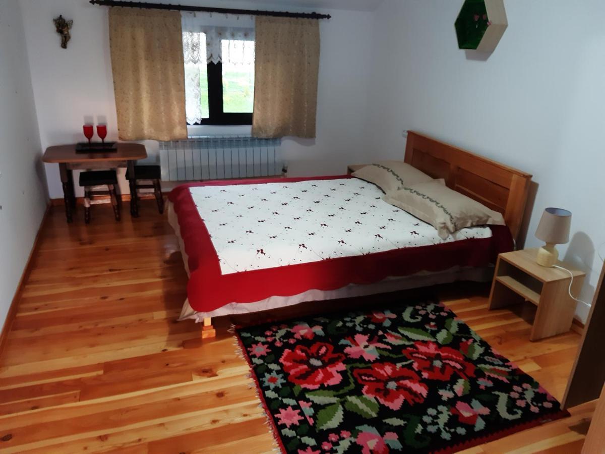 Păltinoasa Casa Dintre Piniヴィラ エクステリア 写真