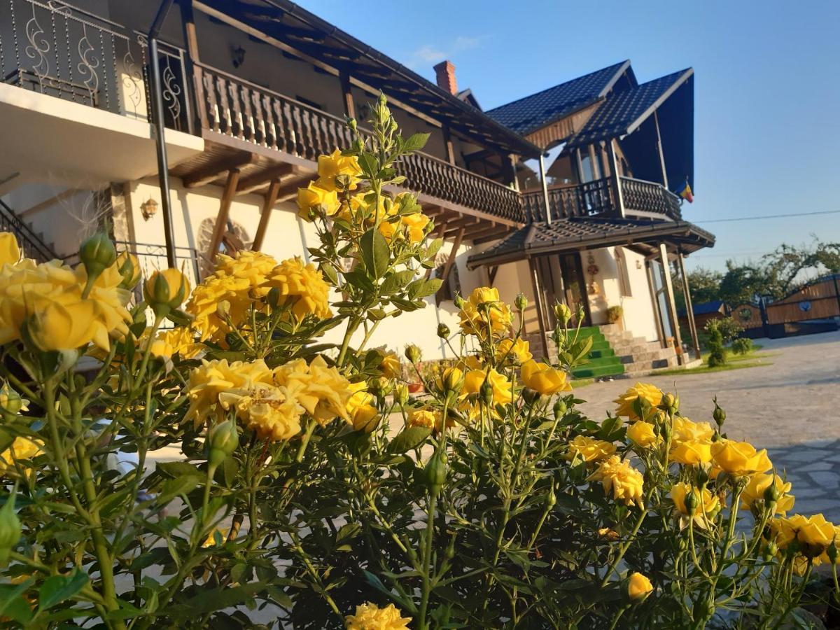 Păltinoasa Casa Dintre Piniヴィラ エクステリア 写真