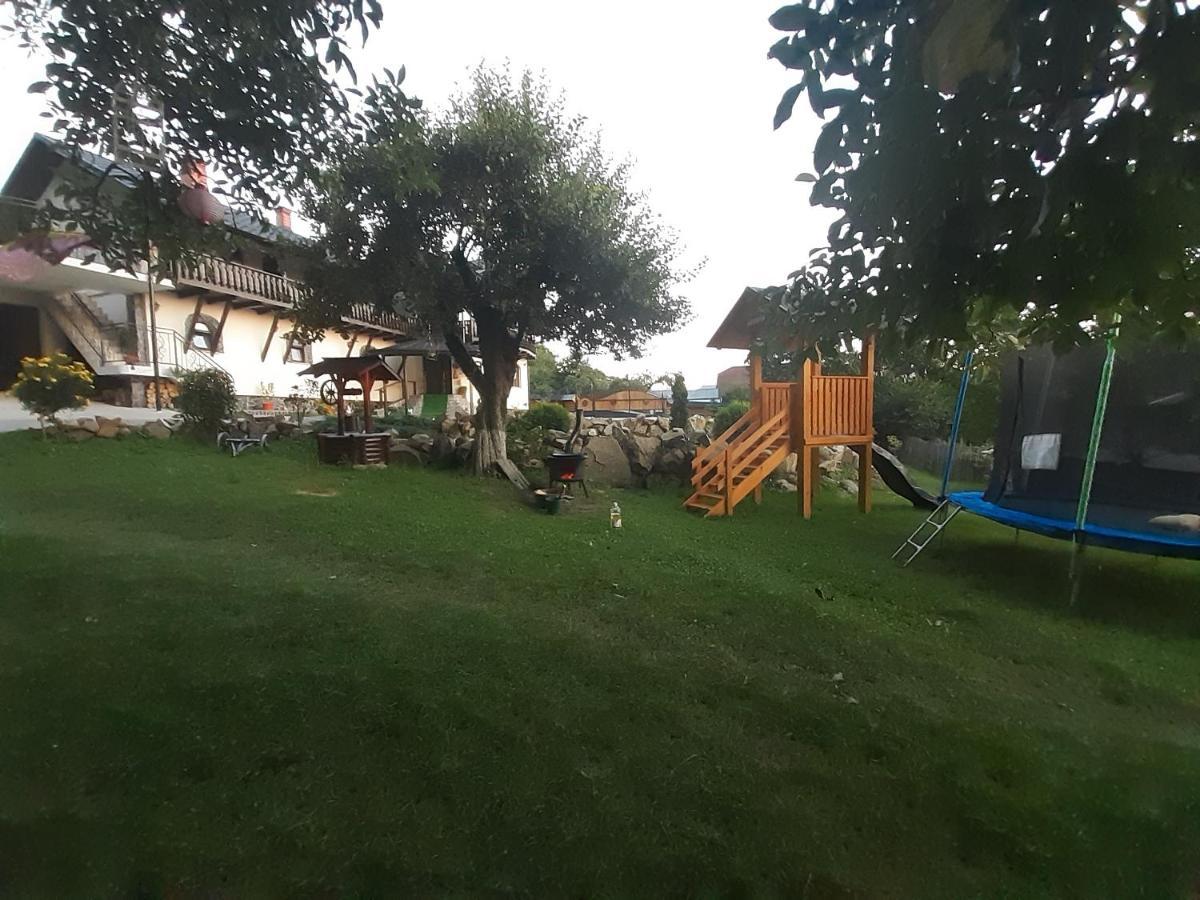 Păltinoasa Casa Dintre Piniヴィラ エクステリア 写真