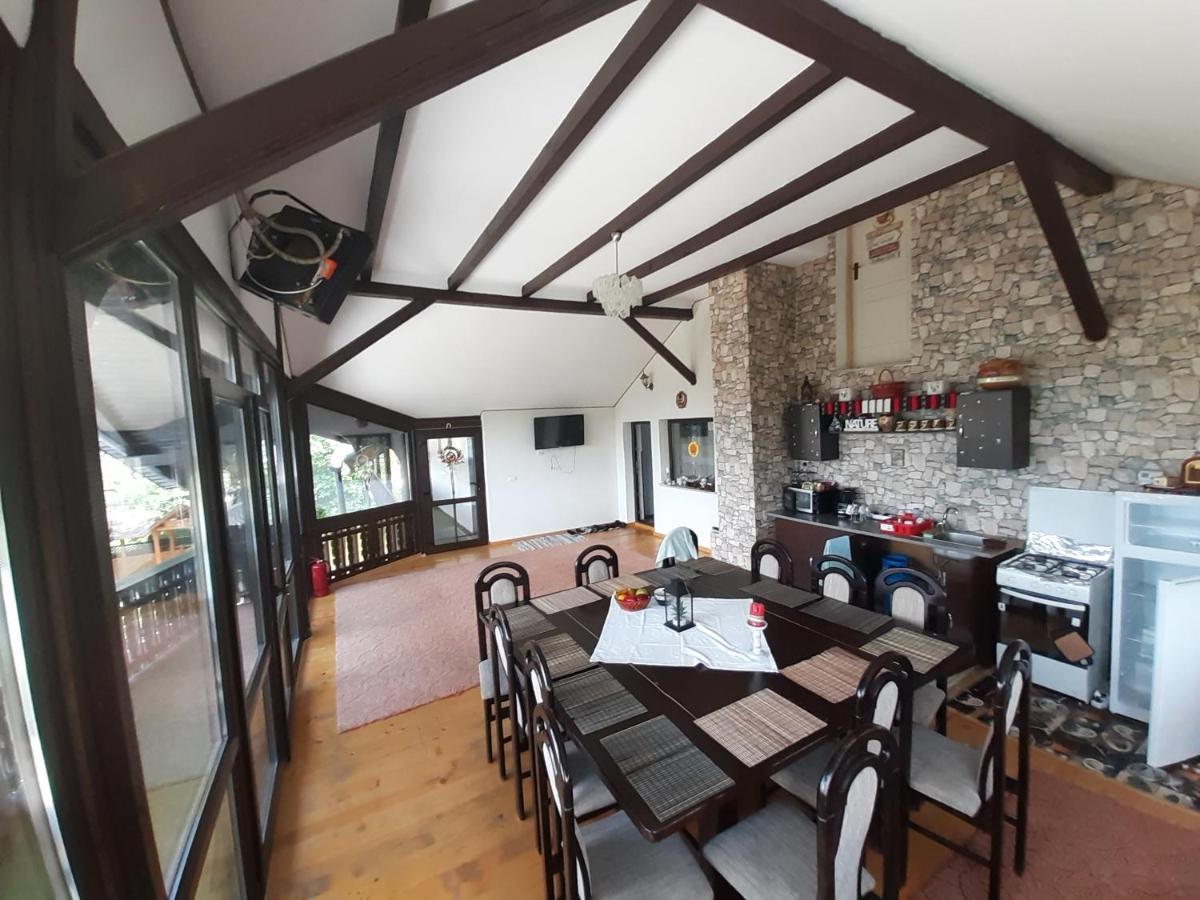 Păltinoasa Casa Dintre Piniヴィラ エクステリア 写真