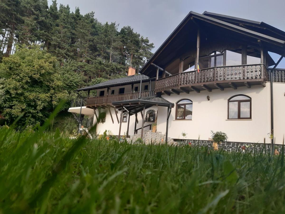 Păltinoasa Casa Dintre Piniヴィラ エクステリア 写真