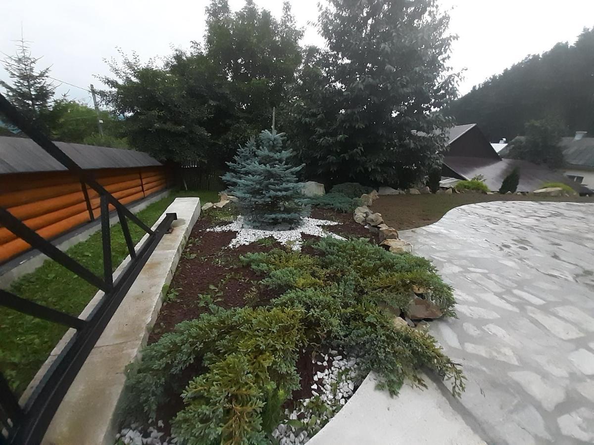 Păltinoasa Casa Dintre Piniヴィラ エクステリア 写真