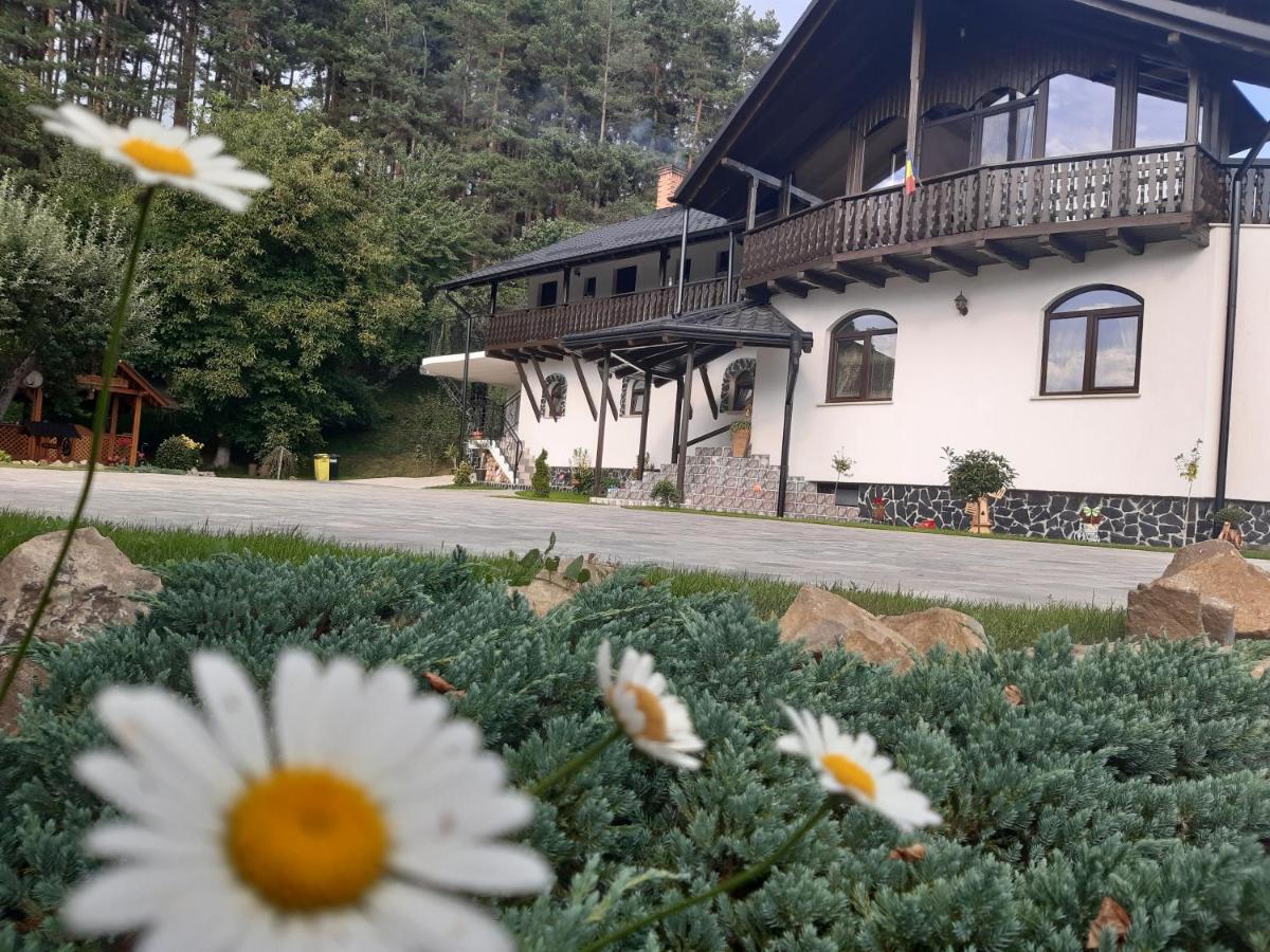 Păltinoasa Casa Dintre Piniヴィラ エクステリア 写真