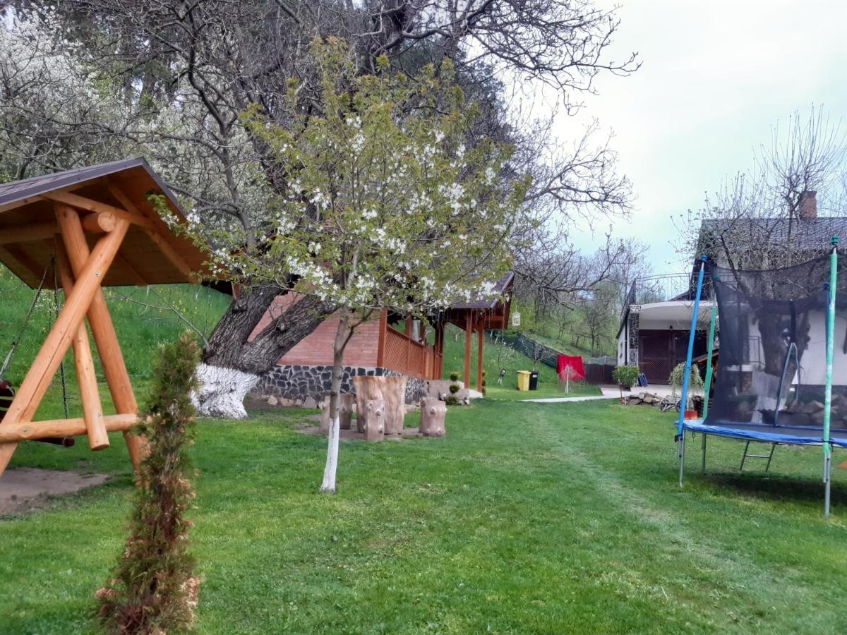Păltinoasa Casa Dintre Piniヴィラ エクステリア 写真