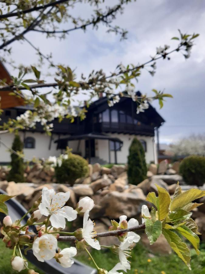 Păltinoasa Casa Dintre Piniヴィラ エクステリア 写真