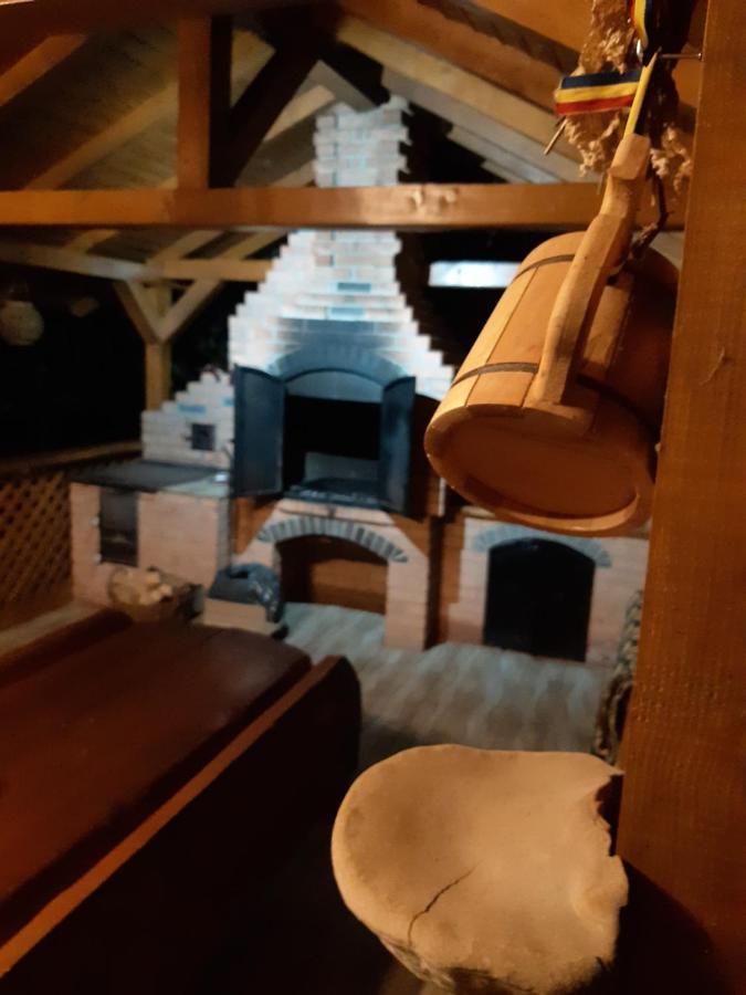 Păltinoasa Casa Dintre Piniヴィラ エクステリア 写真