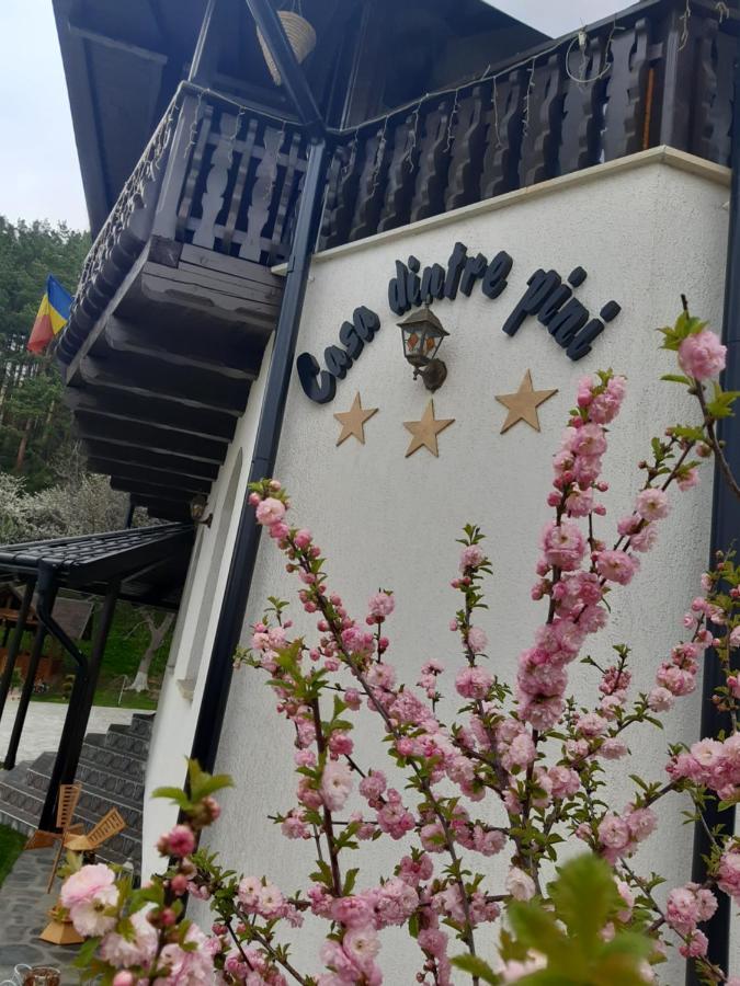 Păltinoasa Casa Dintre Piniヴィラ エクステリア 写真