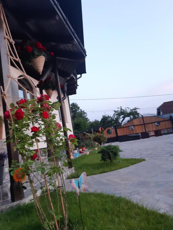 Păltinoasa Casa Dintre Piniヴィラ エクステリア 写真
