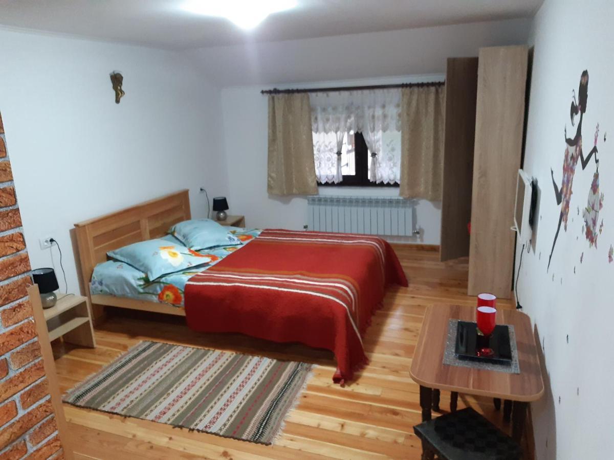 Păltinoasa Casa Dintre Piniヴィラ エクステリア 写真