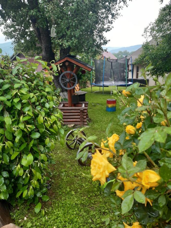 Păltinoasa Casa Dintre Piniヴィラ エクステリア 写真
