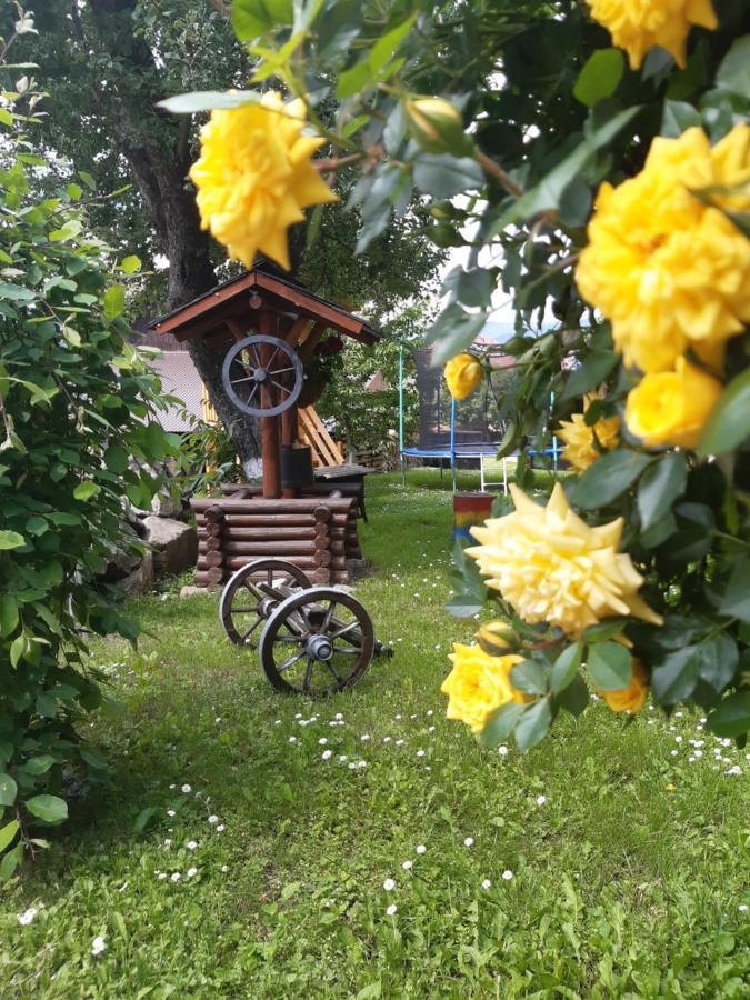 Păltinoasa Casa Dintre Piniヴィラ エクステリア 写真
