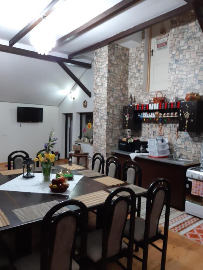 Păltinoasa Casa Dintre Piniヴィラ エクステリア 写真
