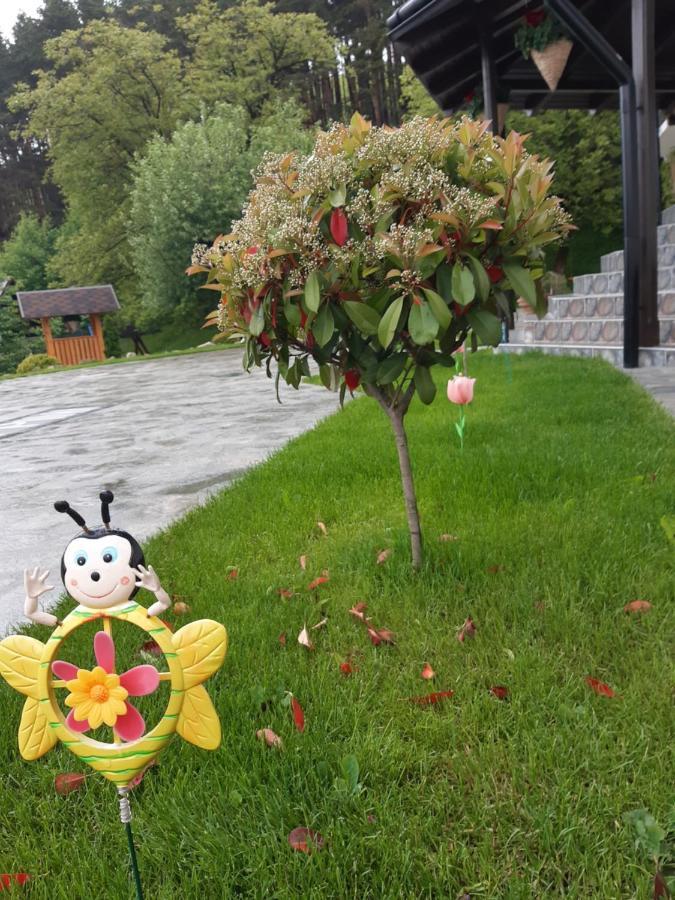 Păltinoasa Casa Dintre Piniヴィラ エクステリア 写真
