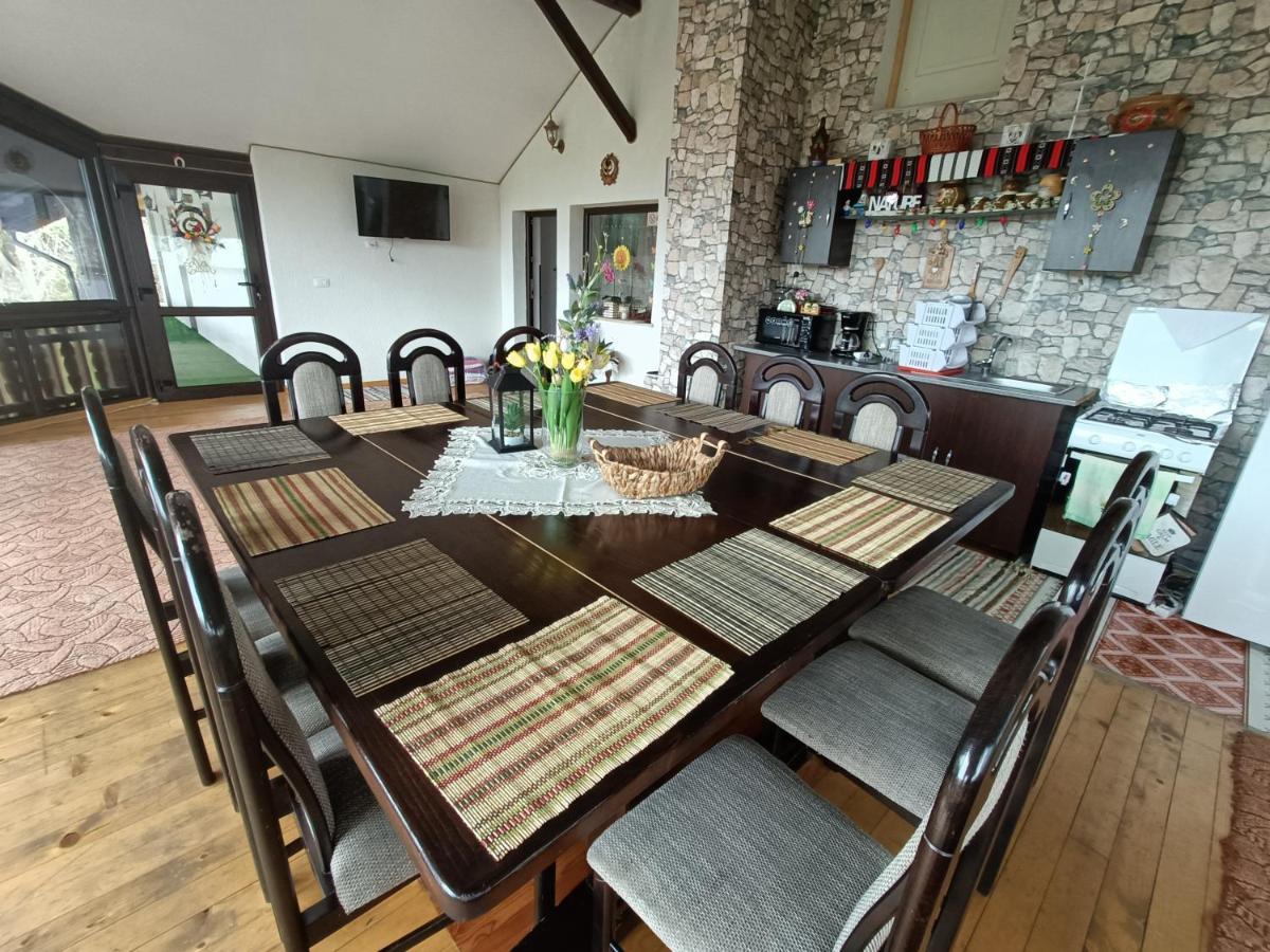 Păltinoasa Casa Dintre Piniヴィラ エクステリア 写真