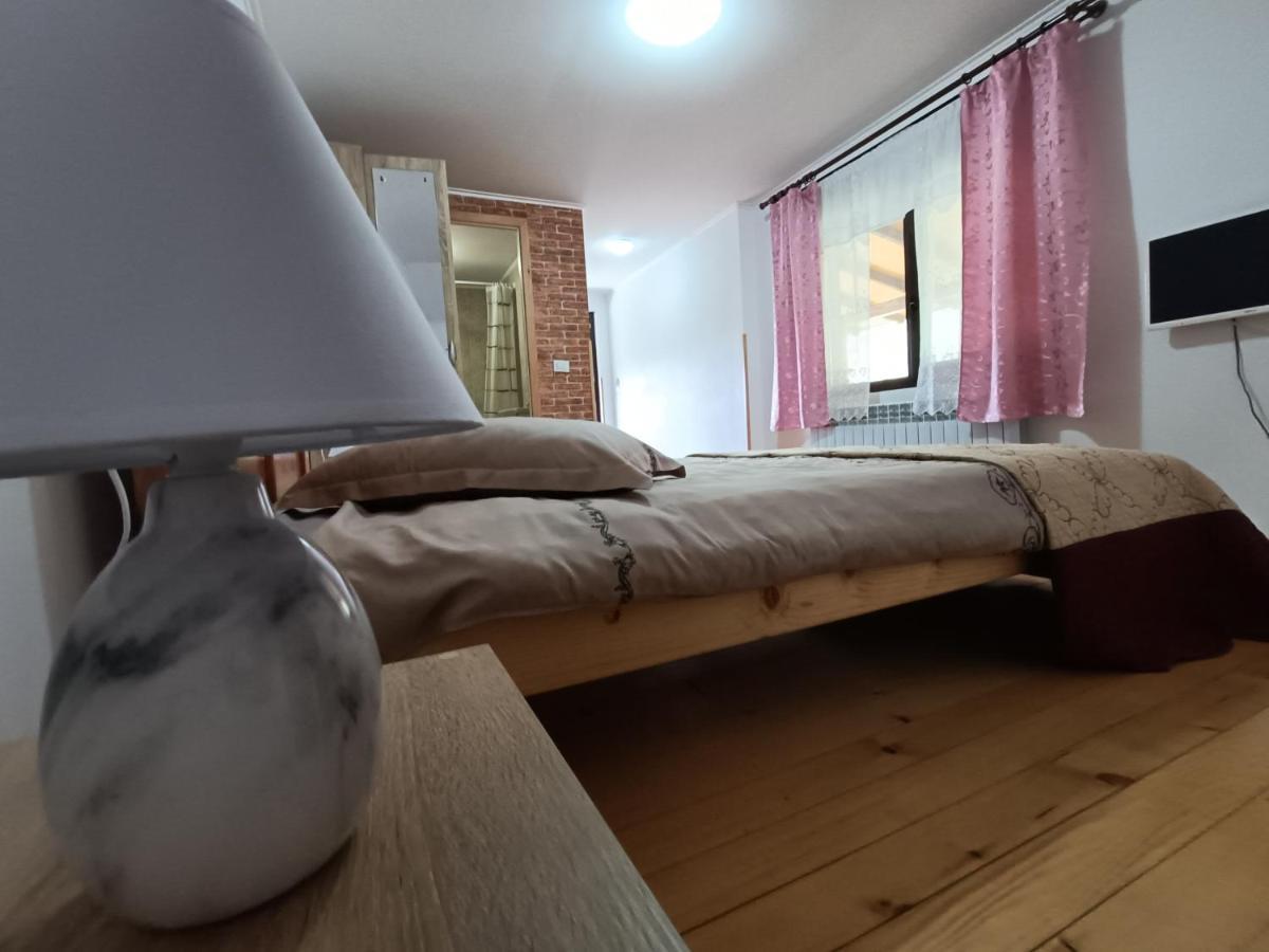 Păltinoasa Casa Dintre Piniヴィラ エクステリア 写真