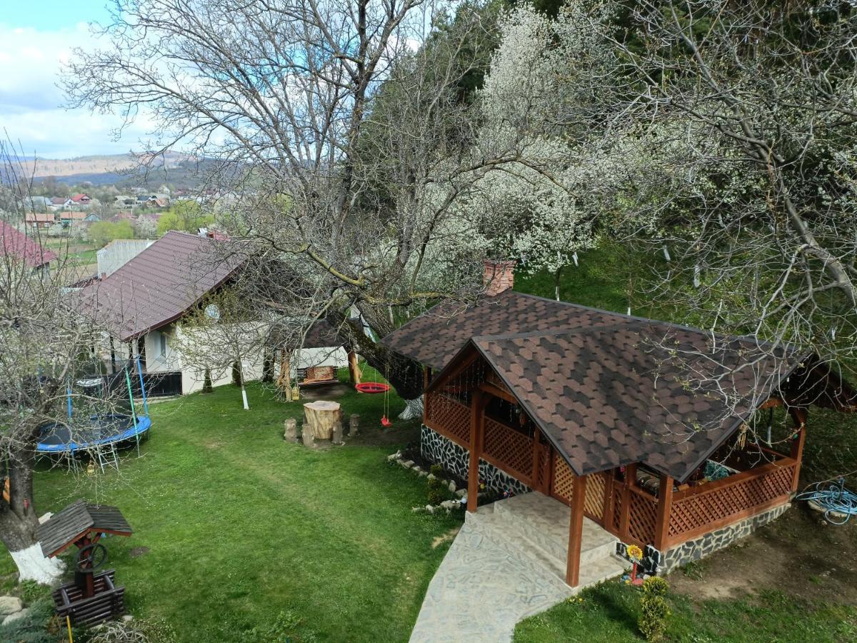 Păltinoasa Casa Dintre Piniヴィラ エクステリア 写真