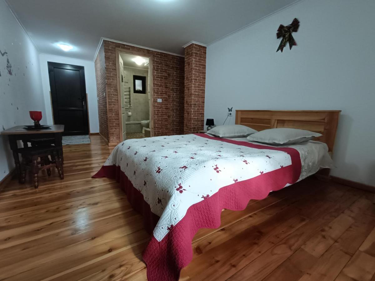 Păltinoasa Casa Dintre Piniヴィラ エクステリア 写真
