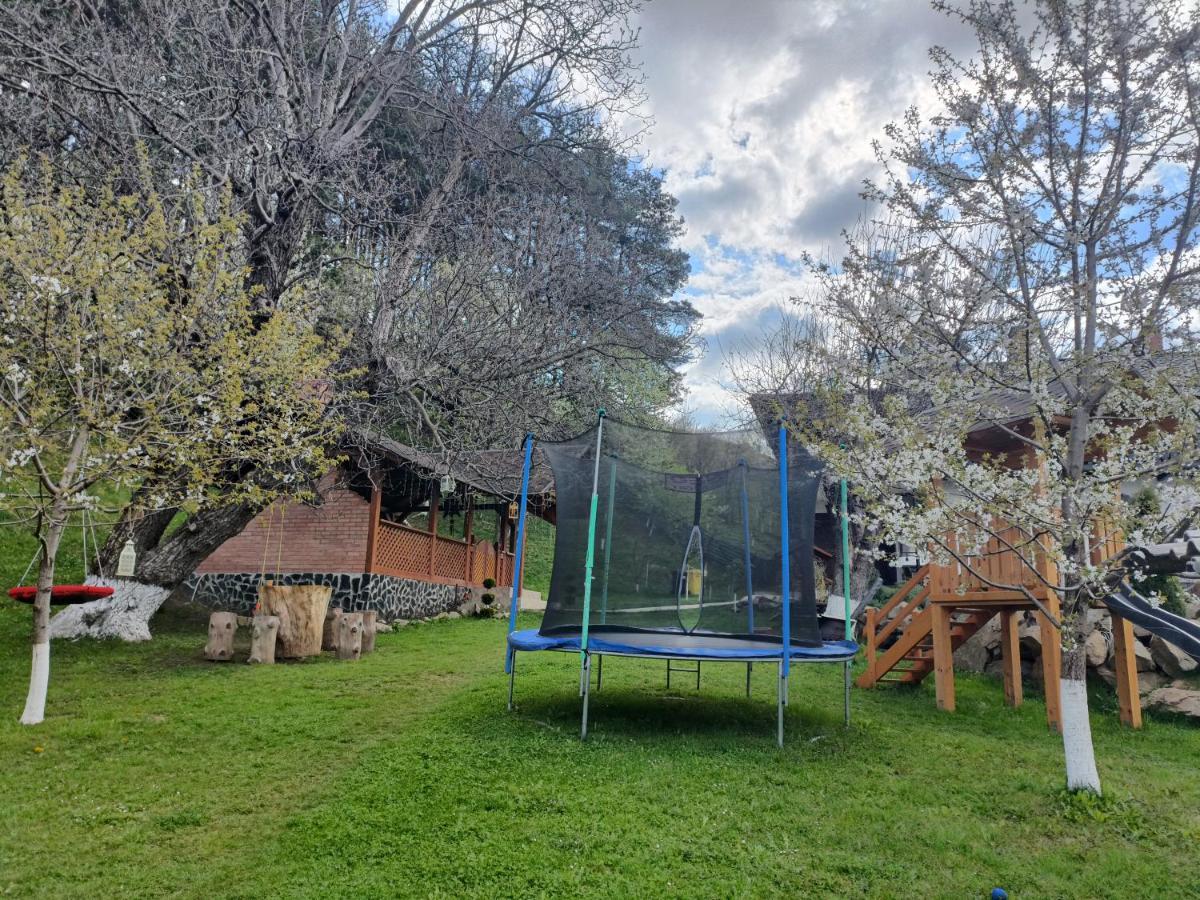 Păltinoasa Casa Dintre Piniヴィラ エクステリア 写真