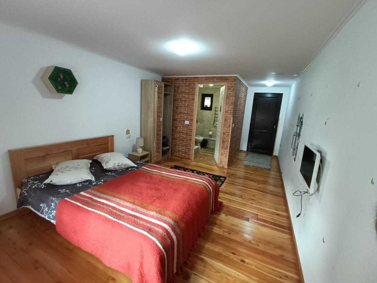 Păltinoasa Casa Dintre Piniヴィラ エクステリア 写真