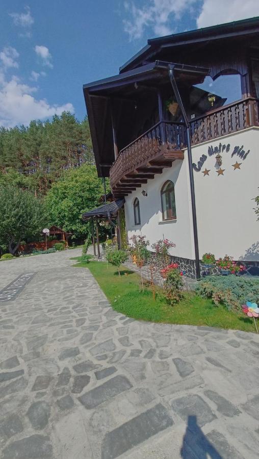 Păltinoasa Casa Dintre Piniヴィラ エクステリア 写真
