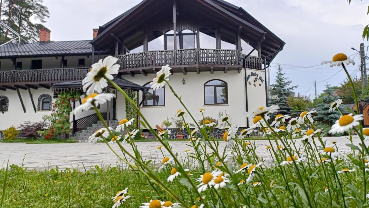 Păltinoasa Casa Dintre Piniヴィラ エクステリア 写真