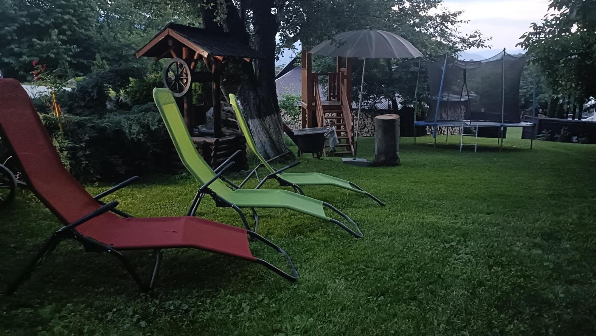 Păltinoasa Casa Dintre Piniヴィラ エクステリア 写真